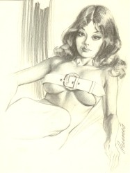 Originalzeichnung Erotische Pin-ups (Bild 099)