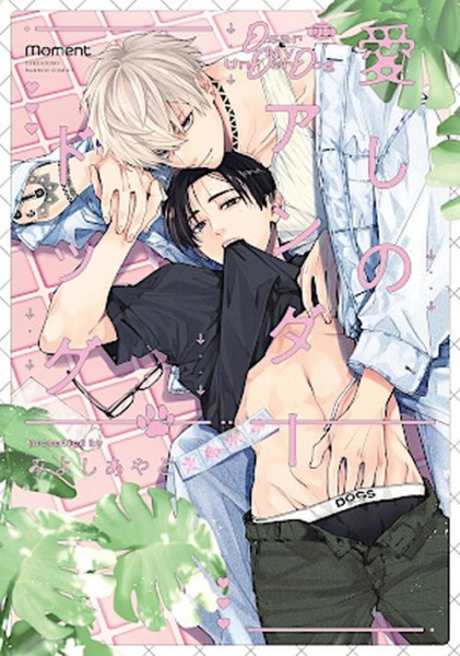 My dear Underdog (02/26)