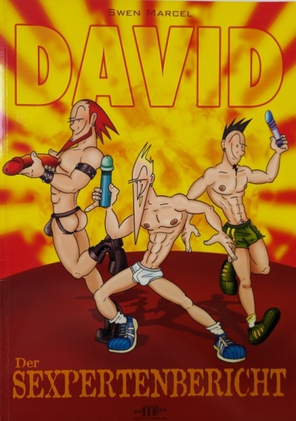 David: Sexpertenbericht (Matter Medien, Br.)