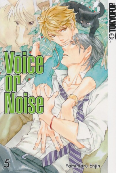 Voice or Noise 5