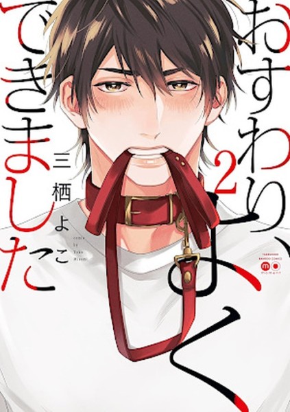 Mach Sitz, Guter Junge 02 (01/26)