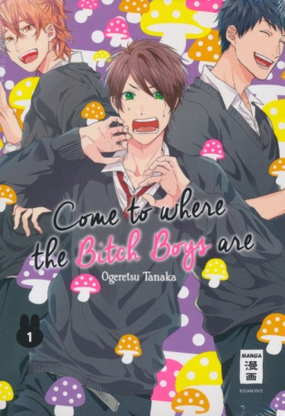 Come to where the Bitch Boys are (EMA, Tb.) Nr. 1-5