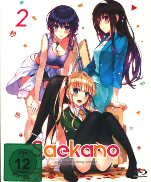 Saekano - How to Raise a Boring Girlfriend - Staffel 1 - Vol.2 Blu-ray