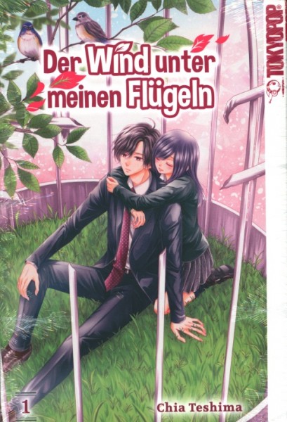 Der Wind unter meinen Flügeln 1