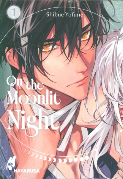 On the Moonlit Night 01