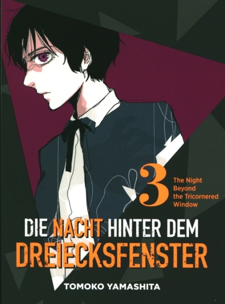 Die Nacht hinter dem Dreiecksfenster 03