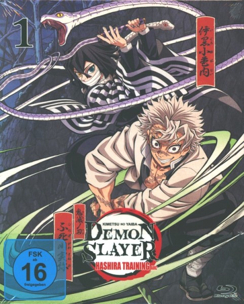 Demon Slayer: Kimetsu no Yaiba Hashira Training Train Arc - Vol.1 Blu-ray