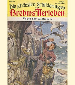 Schönsten Schilderungen aus Brehms Tierleben (Volksliteratur) Nr. 41-84