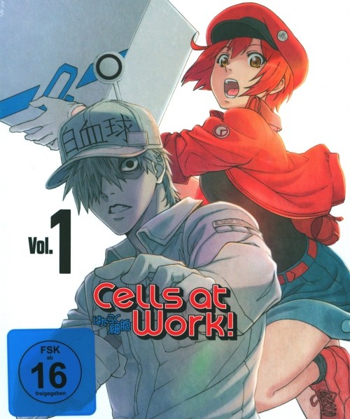 Cells at Work Vol. 1 Kombimediabook Blu-ray + DVD
