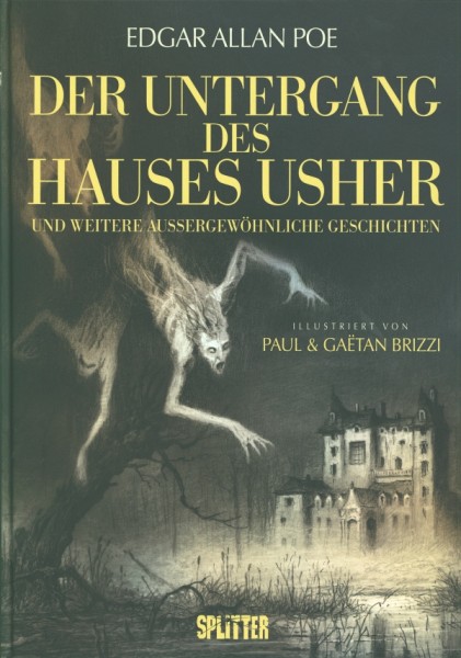 Der Untergang des Hauses Usher (illustrierte Kurzgeschichten)