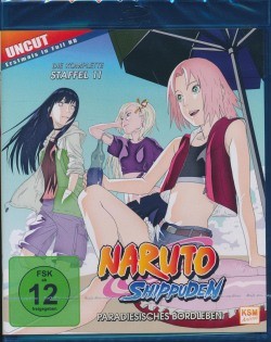 Naruto Shippuden Staffel 11 Blu-ray Box