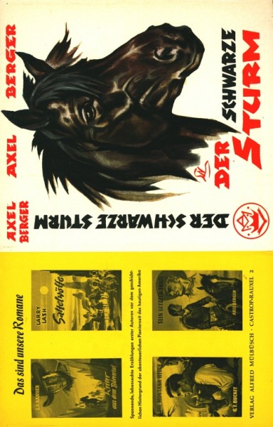Berger, Axel Leihbuch SU Schwarze Sturm (Mülbüsch) nur Schutzumschlag