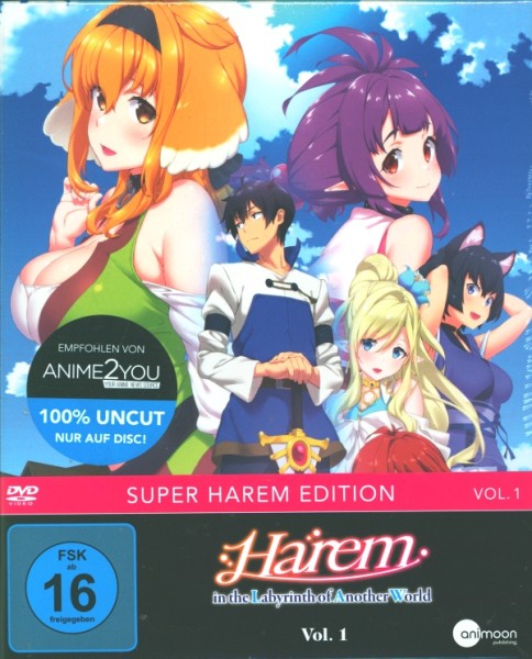 Harem in the Labyrinth of Another World - Vol.1 DVD im Schuber