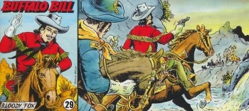 Buffalo Bill Piccolo 29