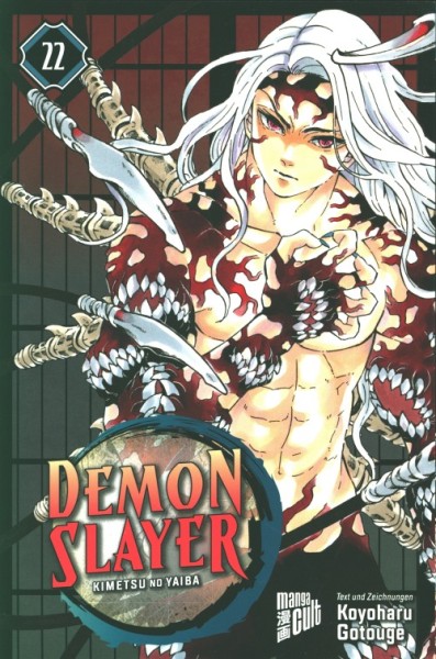 Demon Slayer 22