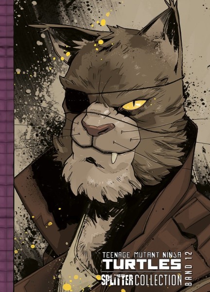 Teenage Mutant Ninja Turtles Collection 12 (05/26)