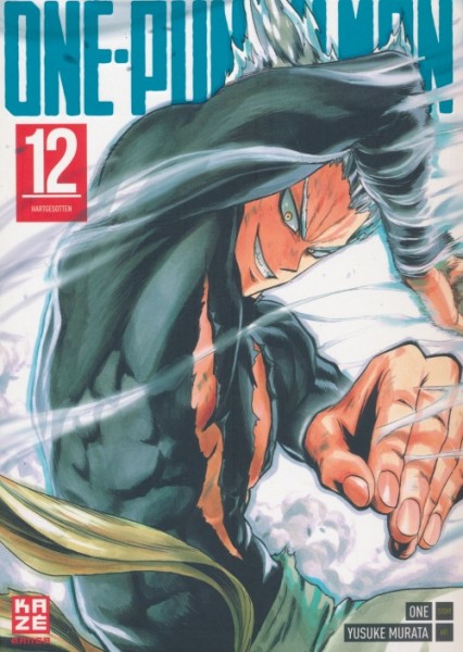 One Punch Man 12