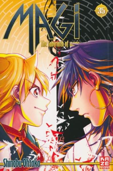 Magi - The Labyrinth of Magic 35