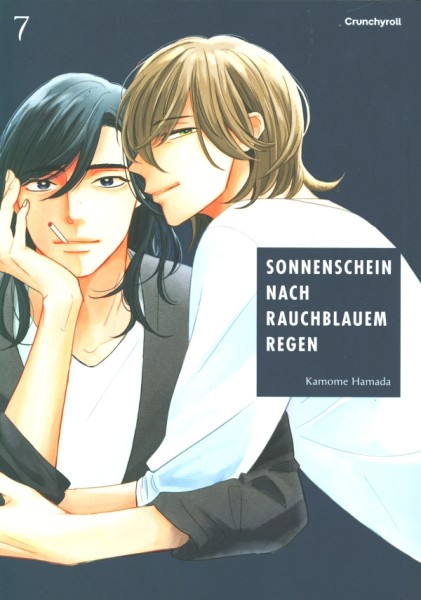 Sonnenschein nach rauchblauem Regen 07