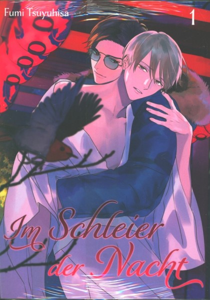 Im Schleier der Nacht 01
