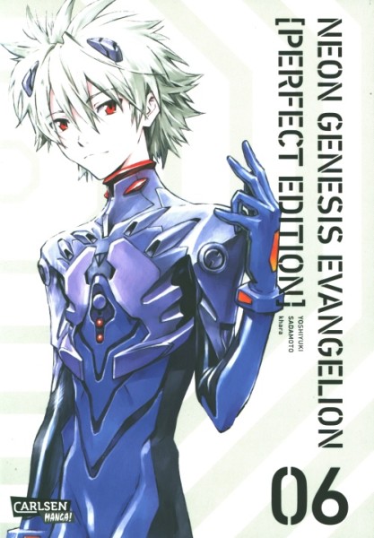 Neon Genesis Evangelion - Perfect Edition 6