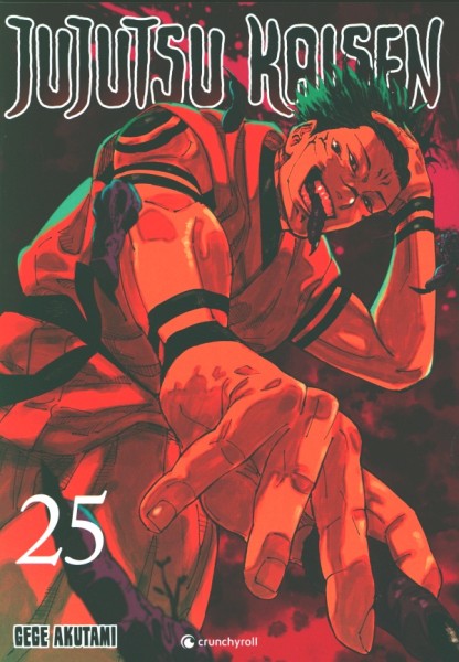 Jujutsu Kaisen 25