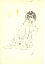 Originalzeichnung Erotische Pin-ups (Bild 074)