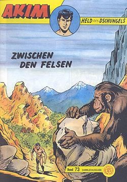 Akim Held Großband 73