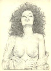 Originalzeichnung Erotische Pin-ups (Bild 052)