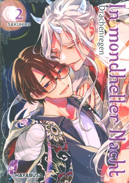 Drachenregen - In mondheller Nacht 02