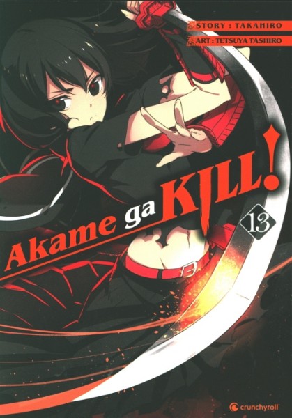 Akame ga Kill! 13