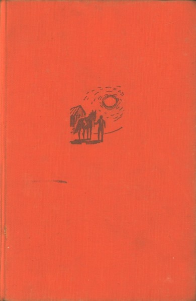 Grey, Zane Leihbuch Geheimnisvolle Reiter (Awa)