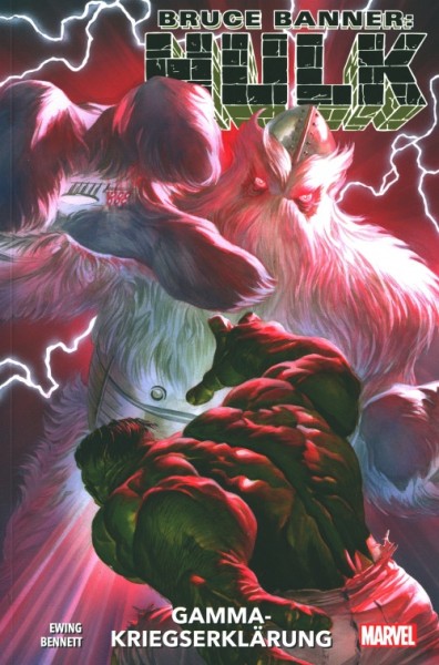 Bruce Banner: Hulk 06