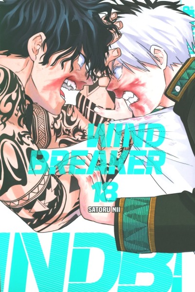 Wind Breaker 18