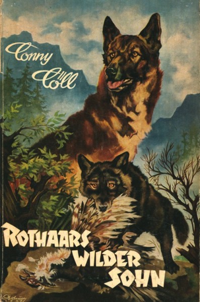 Conny Cöll Jugendreihe (Conny Cöll-Verlag, Tb.) Rothaars wilder Sohn Jugendbücher