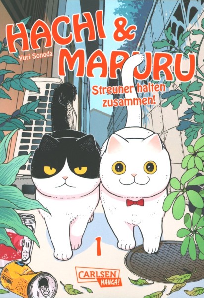 Hachi & Maruru (Carlsen, Tb.) Nr. 1-3