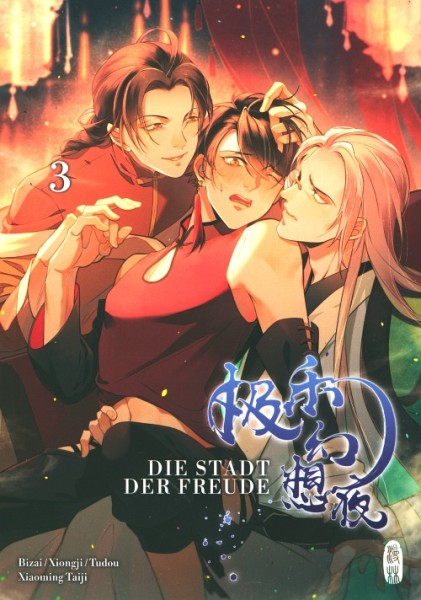 Die Stadt der Freude 03