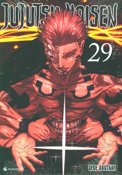 Jujutsu Kaisen 29