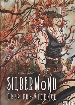 Silbermond über Providence 2