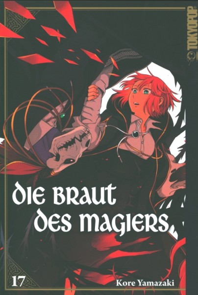 Die Braut des Magiers 17