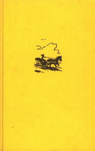 Grey, Zane Leihbuch Weidekönigin (Awa)