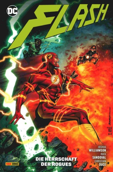 Flash (Panini, Br., 2017) Nr. 14