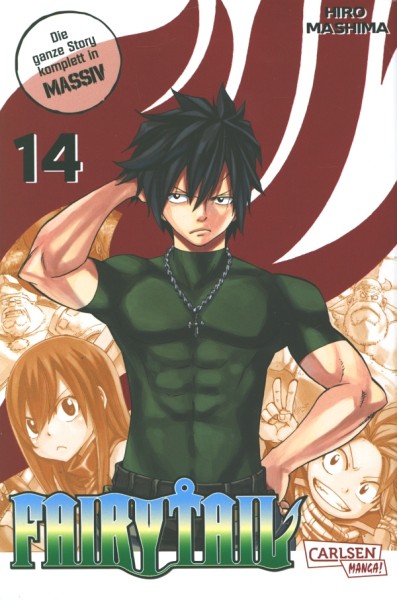 Fairy Tail Massiv 14