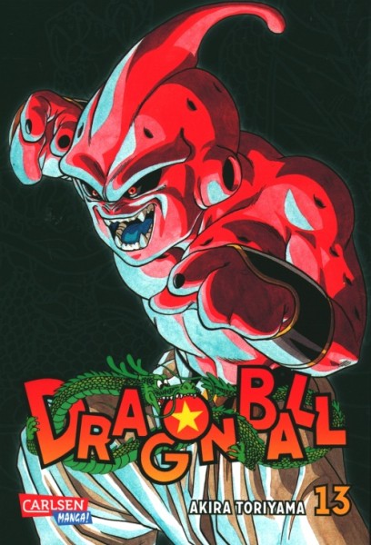 Dragon Ball Massiv 13