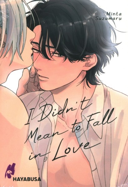 I Didn't Mean to Fall in Love (Hayabusa, Tb.)