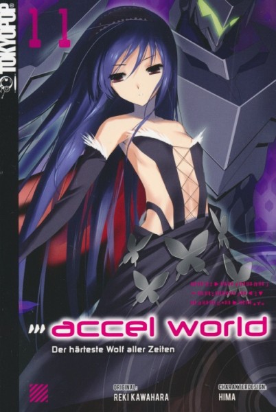 Accel World – Novel 11