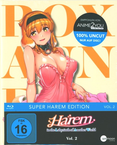 Harem in the Labyrinth of Another World - Vol.2 Blu-ray